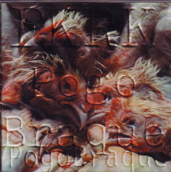 PKRK - POGO BRAQUE CD