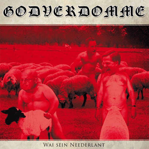 Godverdomme (Haymaker, Tim steinfort)  - Wai sein Neederlant LP 333 Ex.